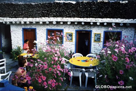 Postcard Flowery Courtyard of a Guesthouse