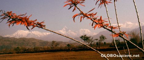 Postcard Pokhara