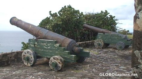 Postcard The cannons from Statia