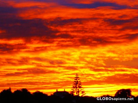 Postcard auckland - sunset of the year