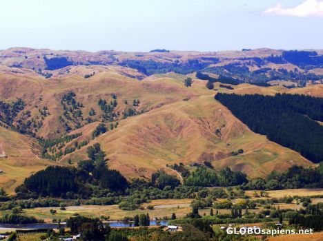 Postcard view from te mata peak