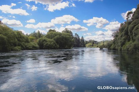 Postcard Beautiful Waikato River