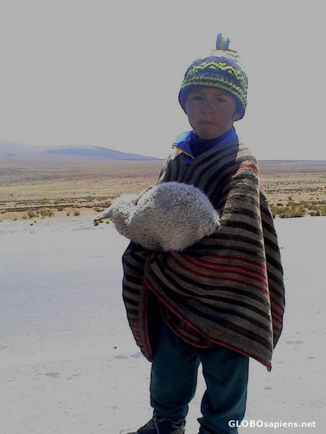 Postcard Little boy on the Altiplano