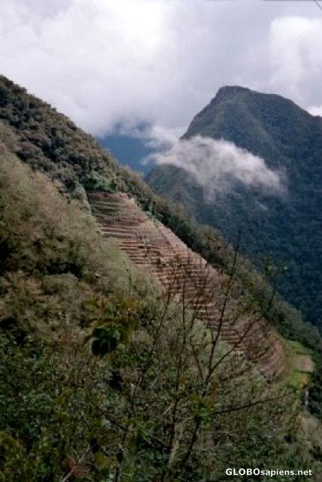 Postcard Inka Trail-Intipata Terraces