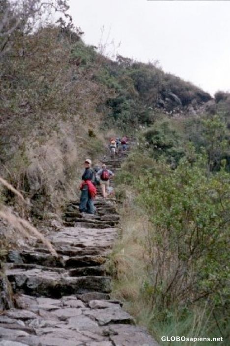 Postcard Inka Trail-More Stairs