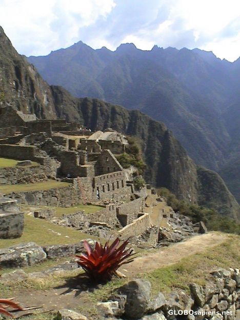 Postcard Machu Picchu: the living quarters