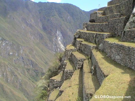 Postcard Inca Terraces