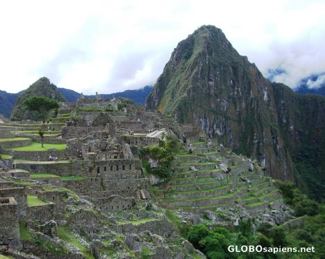 Postcard Machu Picchu 2008