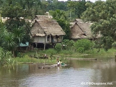 Postcard Village on Amazon River