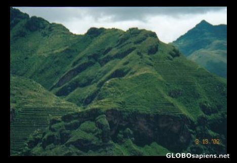 Postcard Incan terraces up on the hillside