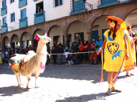 Postcard An Incan and her Llama