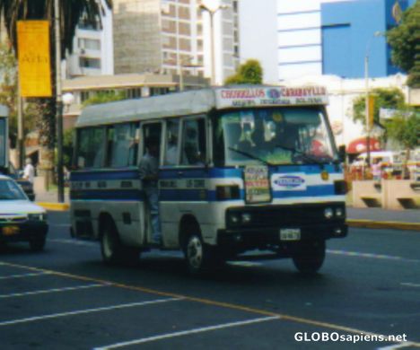 Postcard Limas buses
