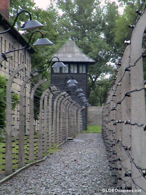 Postcard Auschwitz camp- watch tower