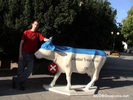 Postcard Warsaw Cow Parade