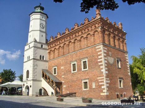 Postcard Sandomierz Town Hall