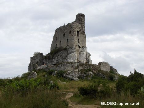 Postcard Mirów Castle