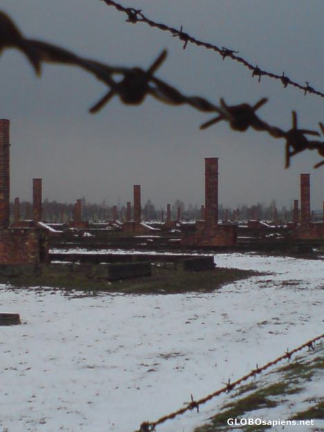 Postcard Auschwitz-Birkenau