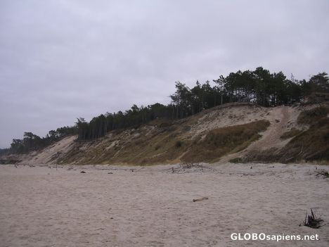 The cliffy sea-coast in Orzechowo