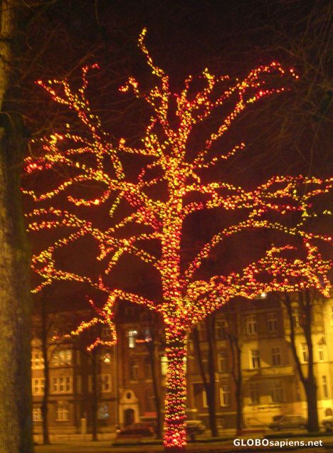 Postcard Słupsk-The tree is decorated for New Year