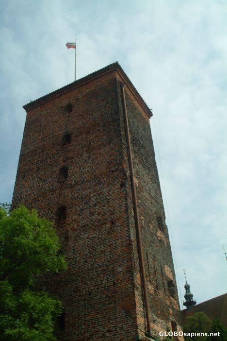 Postcard Water Tower in Frombork