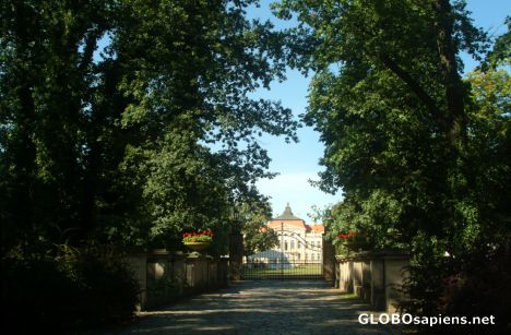 Postcard Gate to the Palace in Rogalin