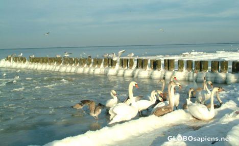 Postcard Ustka beach in winter
