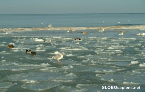 Postcard Ustka - frozen Baltic Sea