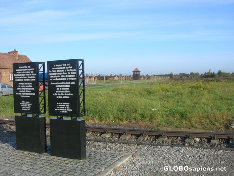 Postcard Birkenau Death Camp