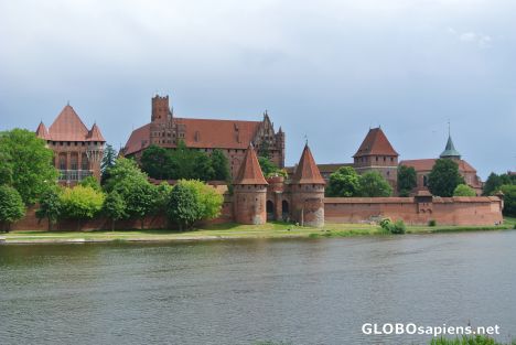 Postcard The Marienburg Castle in Malbork
