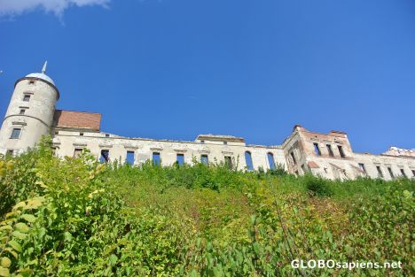 Postcard Castle in Janowiec 2
