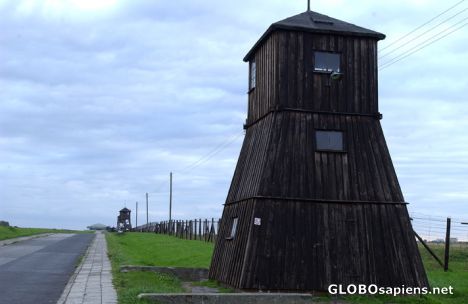 Postcard majdanek  concentration  camp