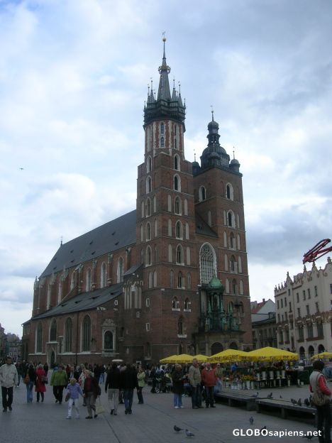 Postcard Katedra Wawelska