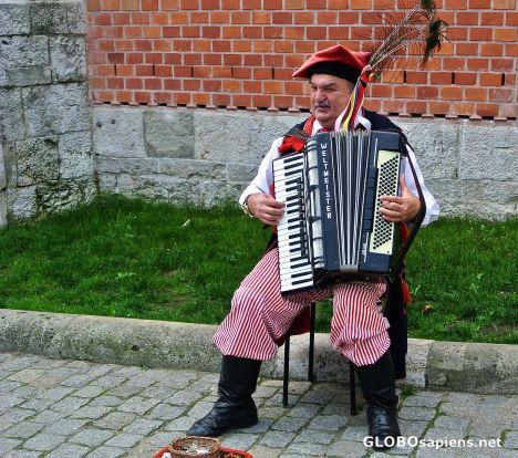Postcard Kraków - accordionist