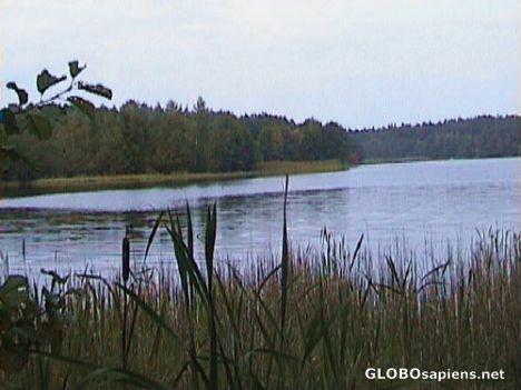 Postcard Radun Lake - Poland