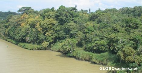 Postcard Jungle of Panama