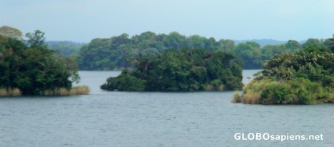 Postcard Islands on the Gatun Lake