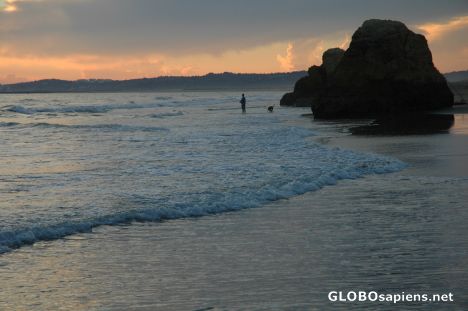 Postcard Fisherman and Dog with Algarve Sunset