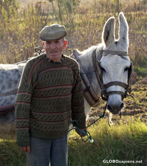 Postcard Old man and his donkey