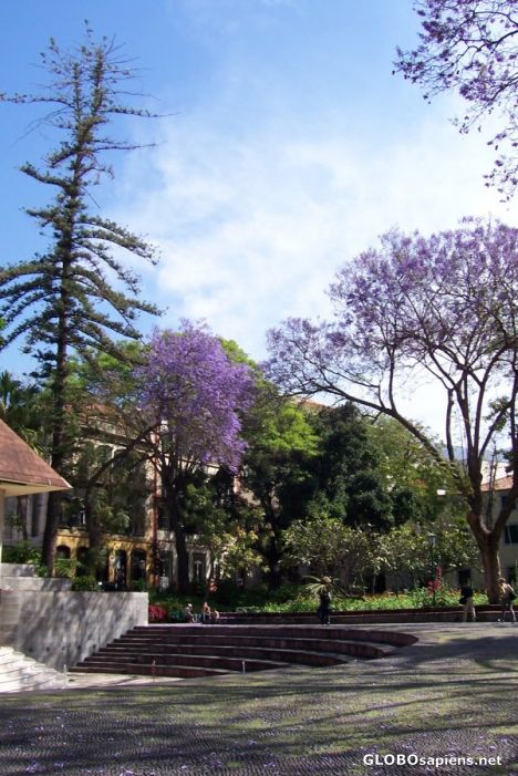 Postcard Jardim de São Francisco 2