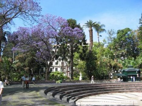 Postcard Jardim de São Francisco