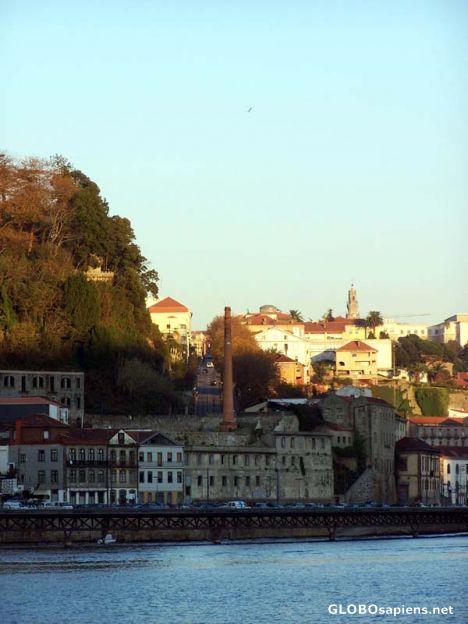 Postcard View of Rua Viterbo Ferreira, Porto, from Gaia