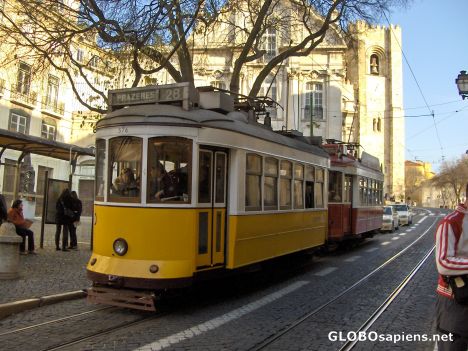Postcard Lisboa Trams