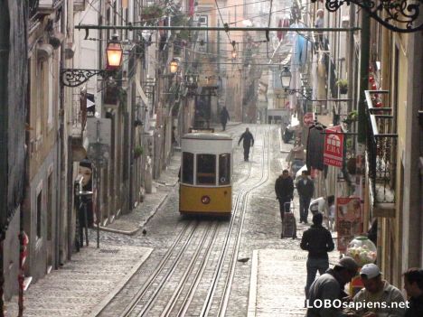 Postcard Lisboa