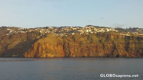 The cliffs of Madeira
