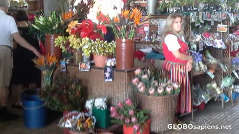 Postcard Flower stands on Funchal market
