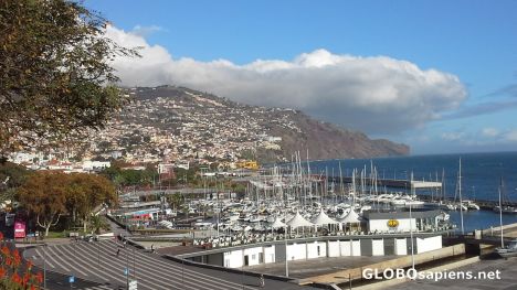 Postcard Funchal marina