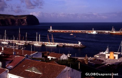 Postcard Faial Island - Marina of Horta -