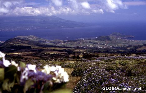 Postcard View to Pico Island from Faial