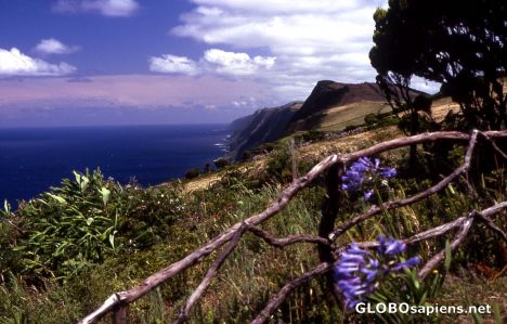 Postcard Pico Island - Coastline -