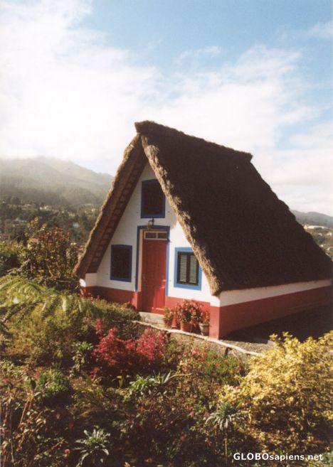 Postcard Traditional Housing